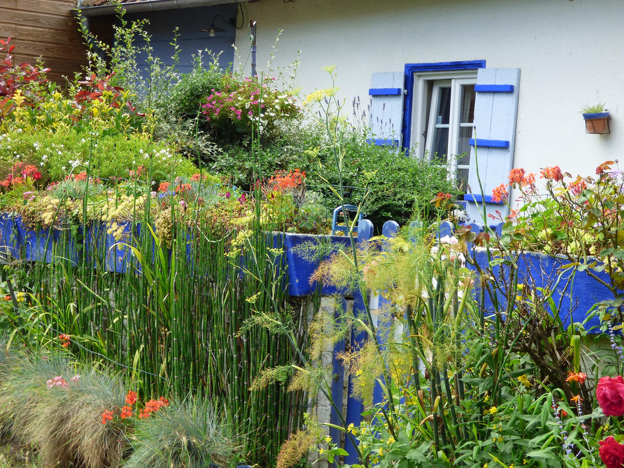 la maison bleue1.jpg