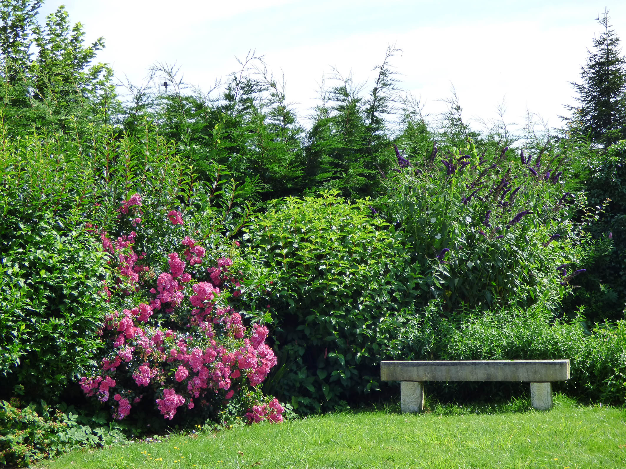 banc pierre la paysanne.jpg