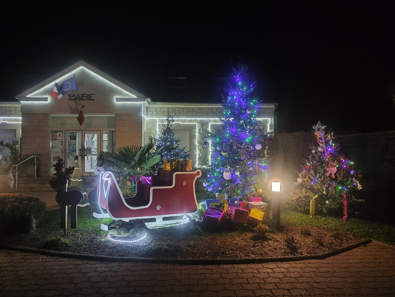 ILLUMINATION 3.jpg