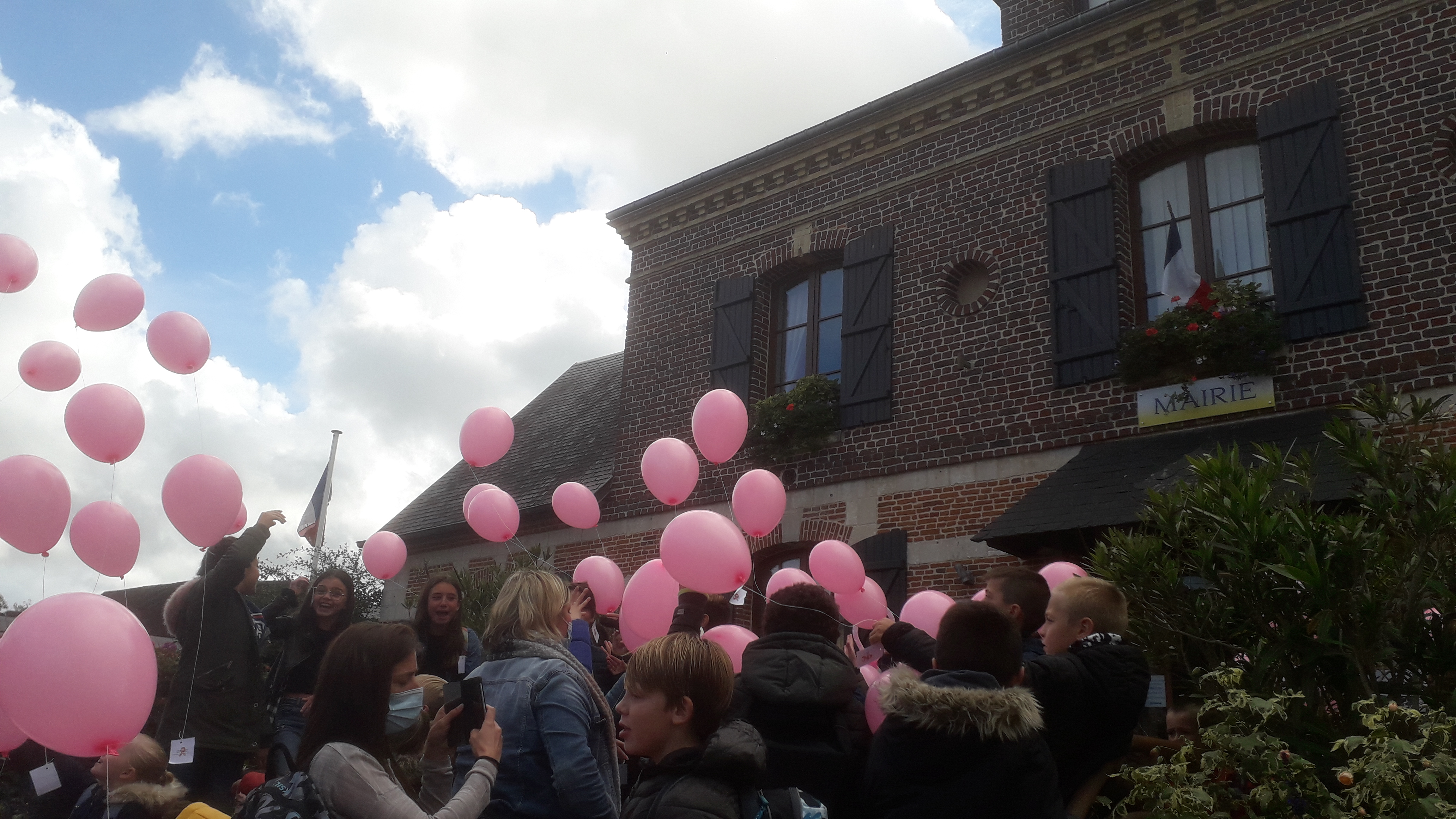 octobre rose.jpg