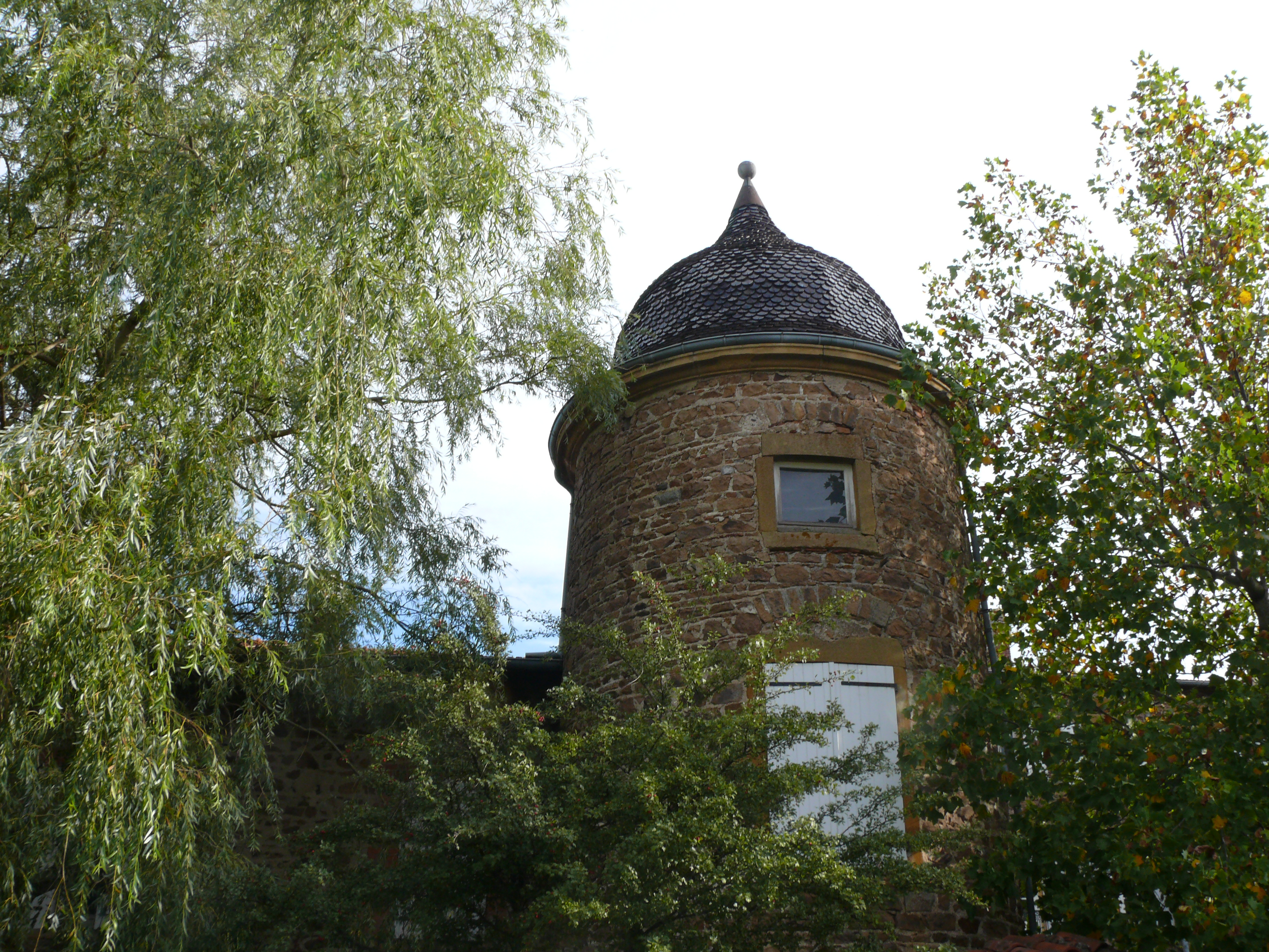 Chateau de la Forest Tour