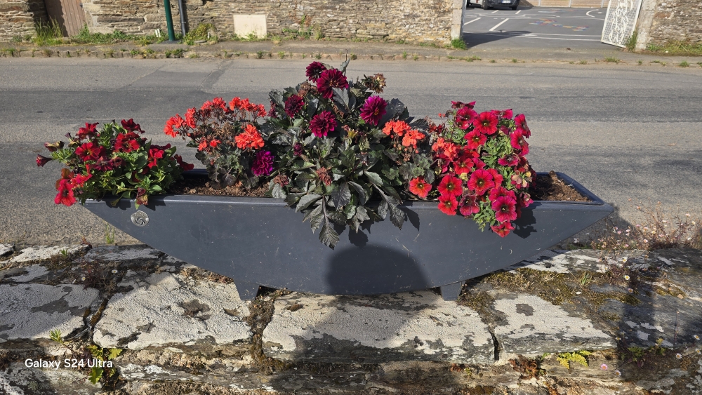 jardinière grise mur vieille église.jpg