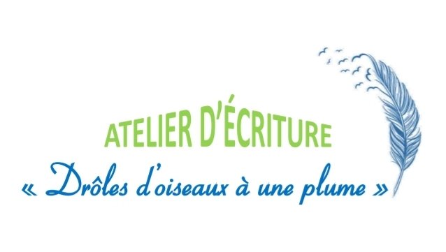 Logo drôles d_oiseaux à une plume.jpg