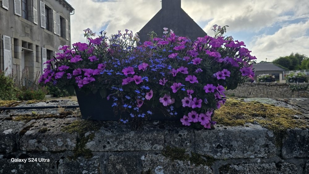jardinière grise mur presbytère.jpg