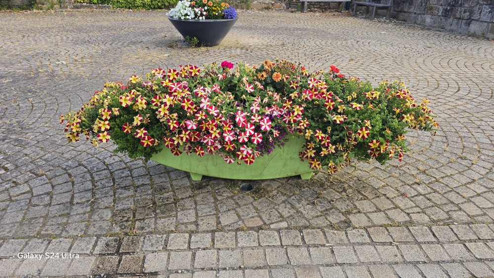 jardinière verte placitre.jpg