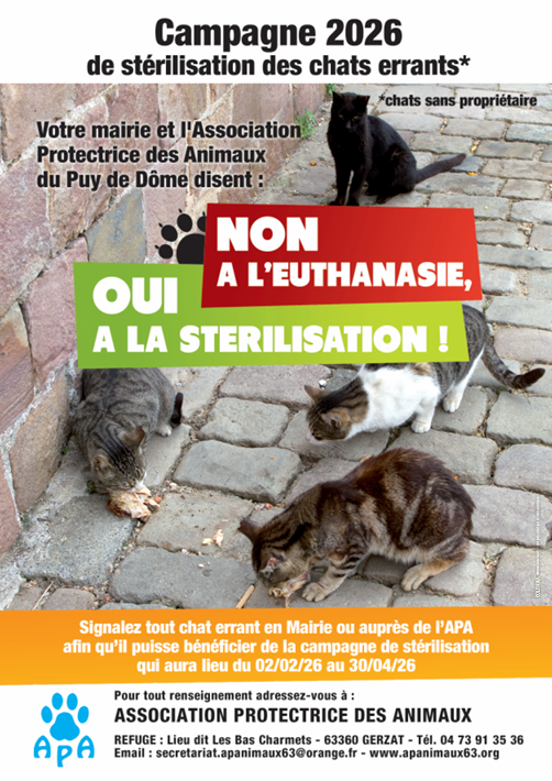 Campagne de stérilisation chats libres