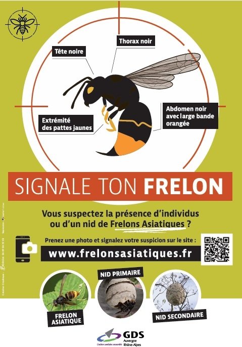 FRELONS AFFICHE.jpg