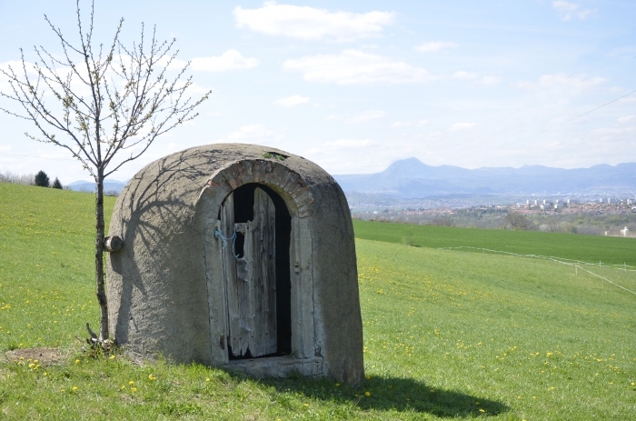 _zh00915-1.jpg