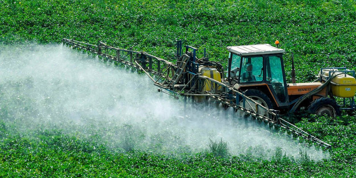 champs pesticides.jpg