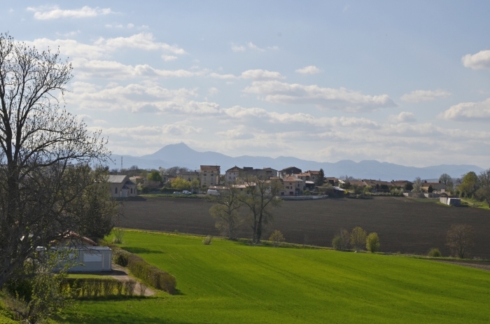 _zh01050.jpg