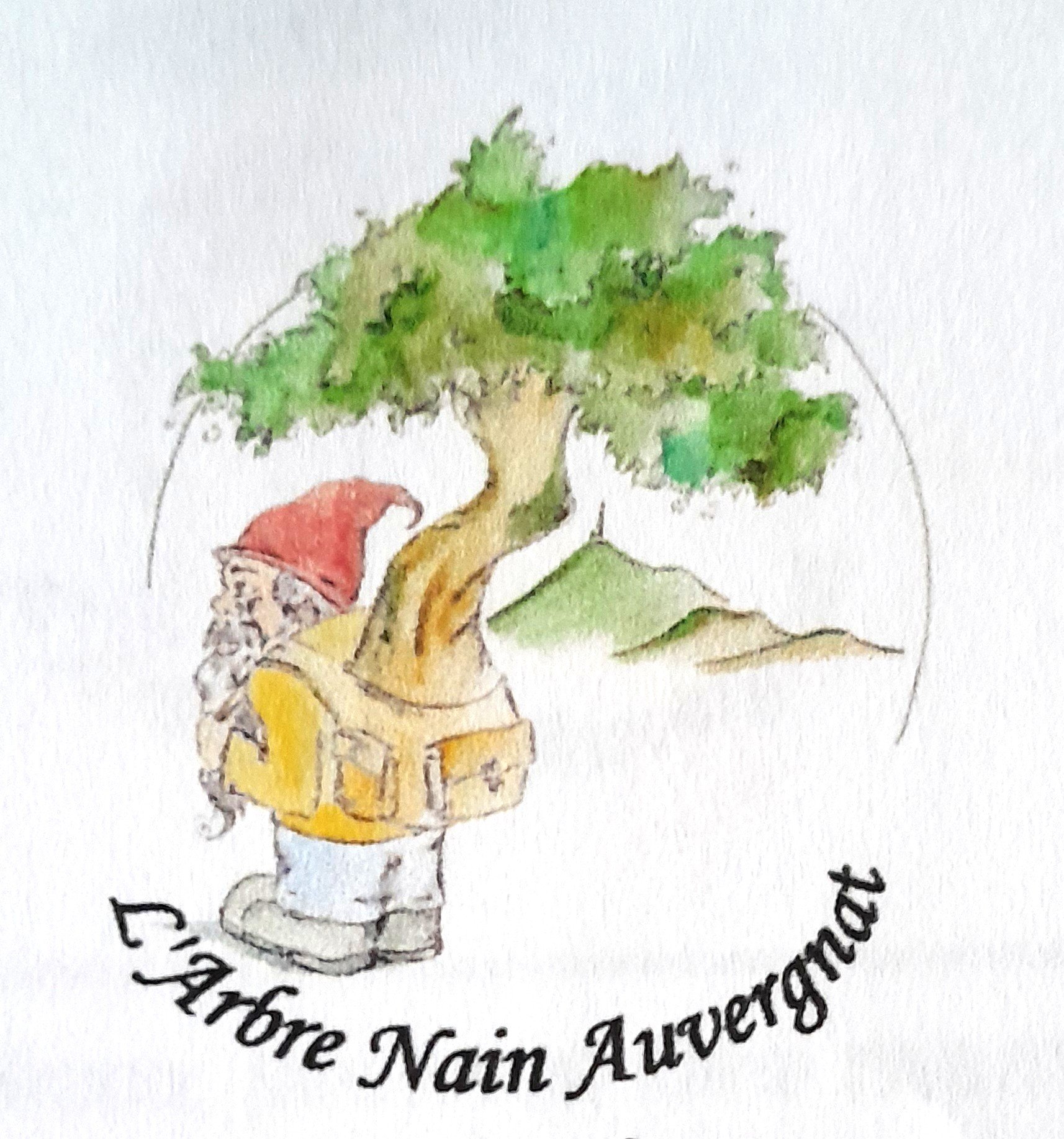 ARBRE NAIN.jpg