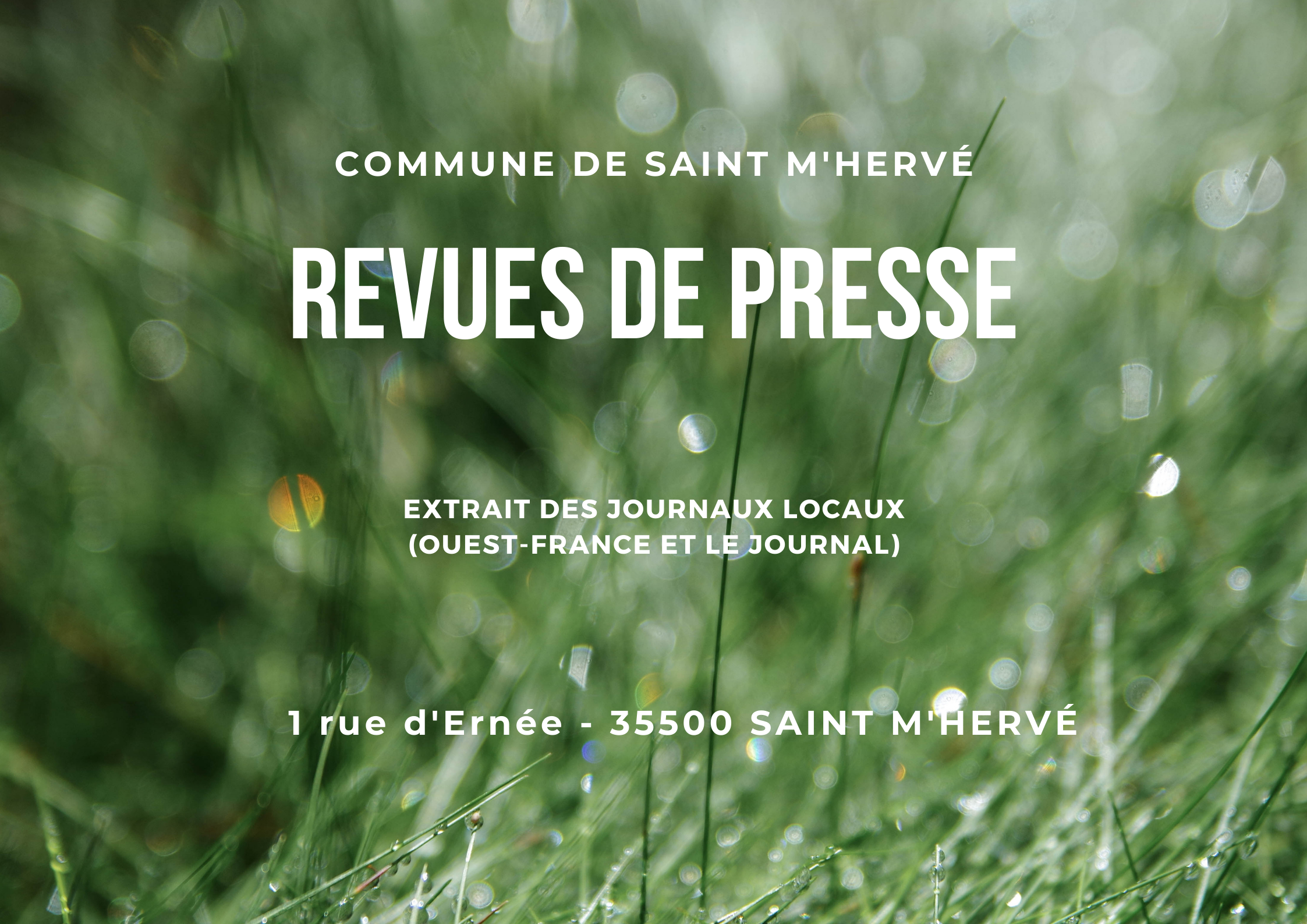 revues de presse.png