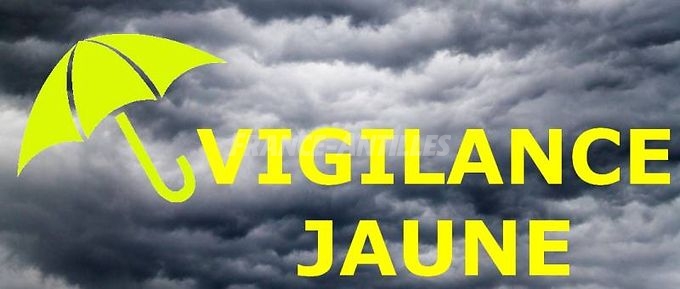 logo JAUNE.jpg