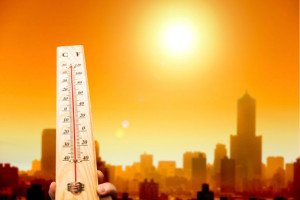 canicule 2.jpg