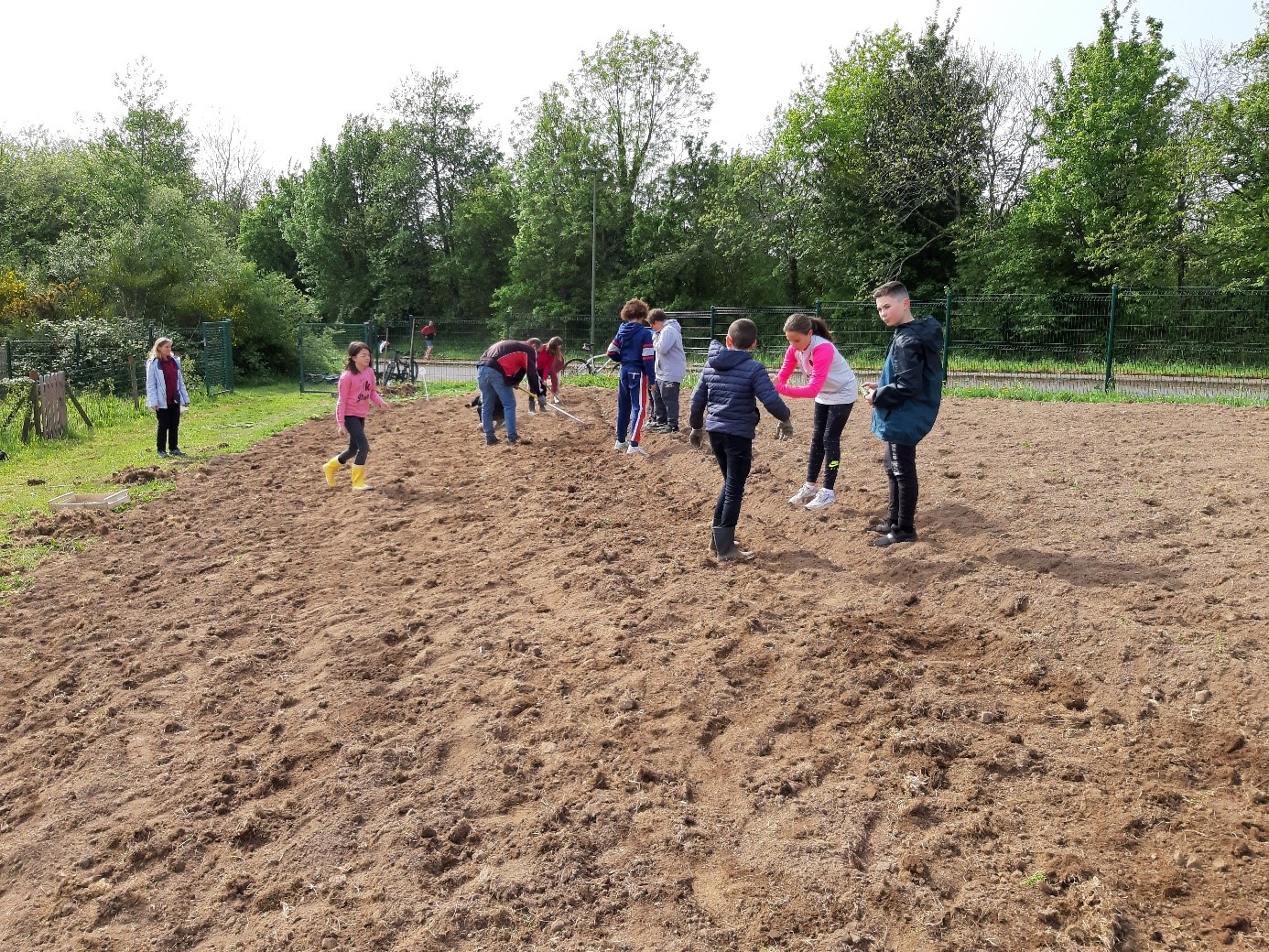 2022 Jardins partagés 1.jpg