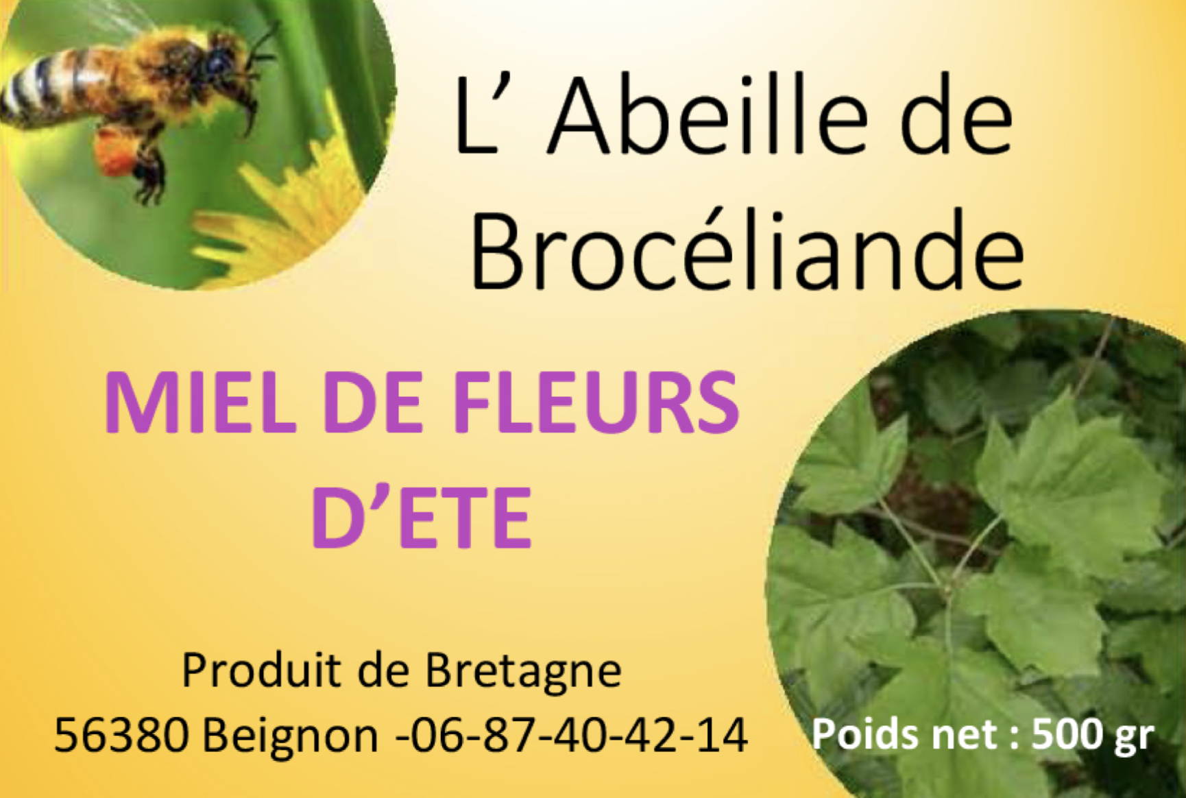 Capture d’écran 2022-12-25 à 09.24.27.png