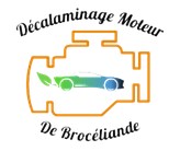 décalaminage moteur.jpg