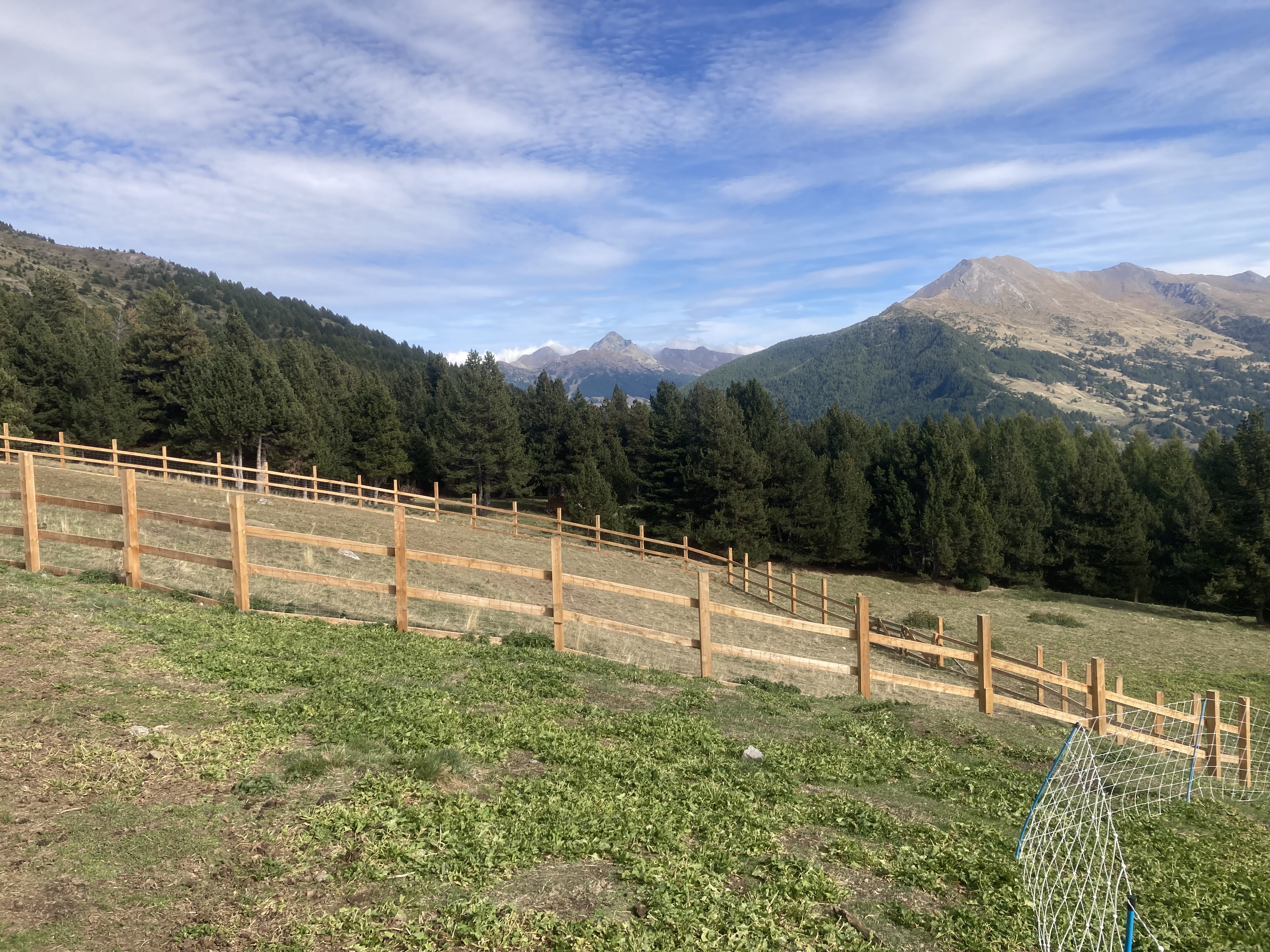 IMG_4806.jpeg