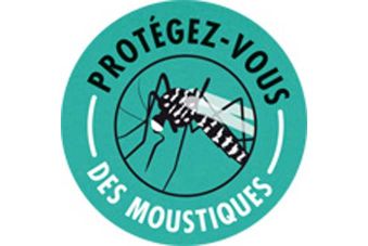 Moustique_tigre_protegez_vous_678_454.jpg