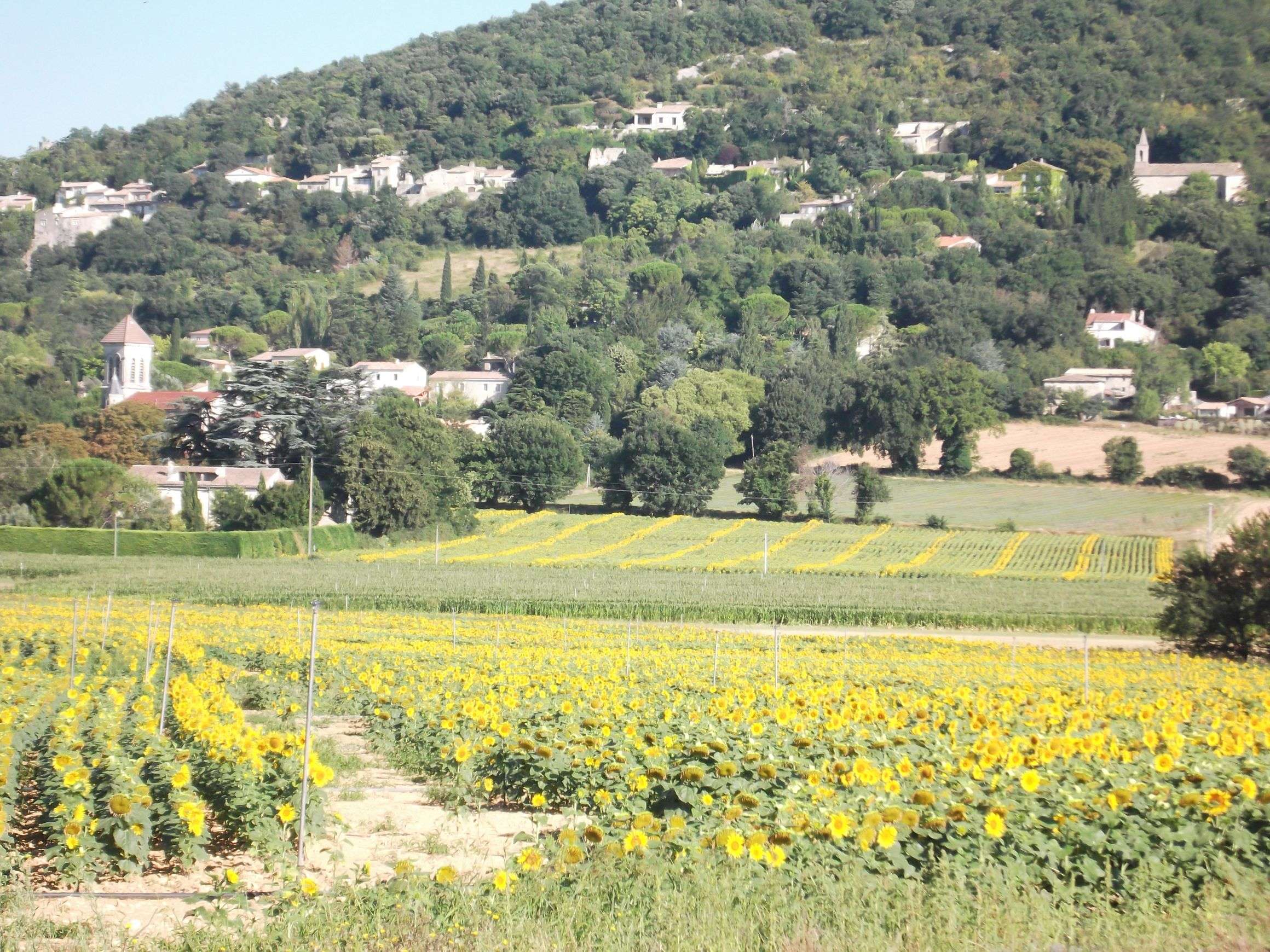 Photo_portrait_village.jpg