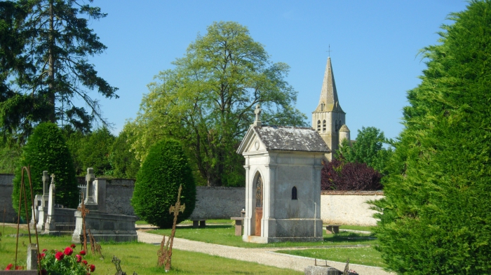 njkonu1drg0l5vt _1_.jpg