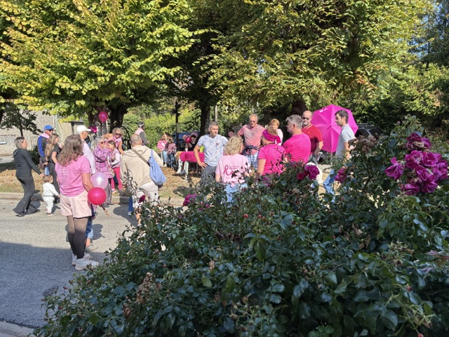 Oct Rose 26 Paponville.jpeg