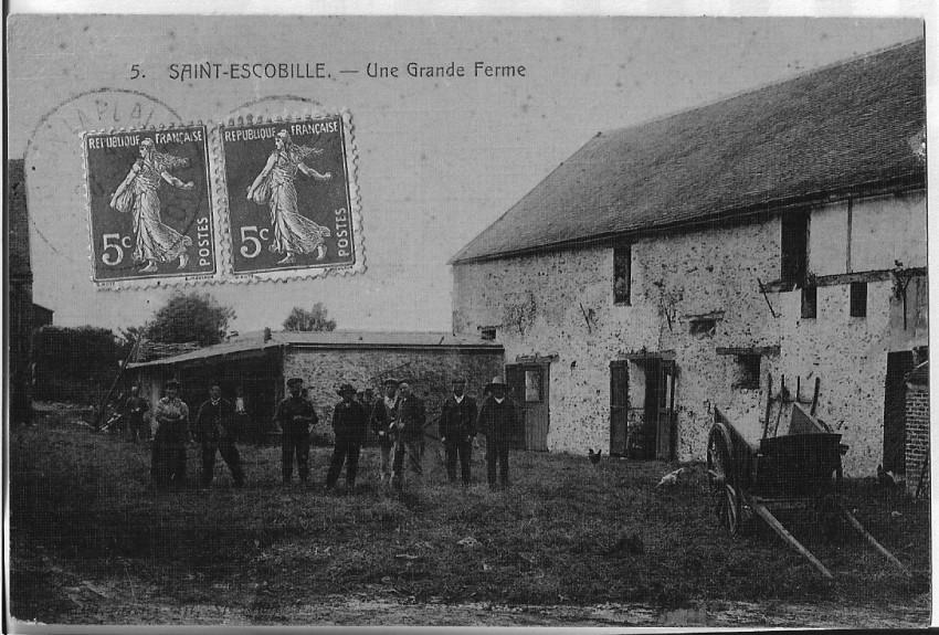 mesfrpeal7dqkoa _2_.jpg