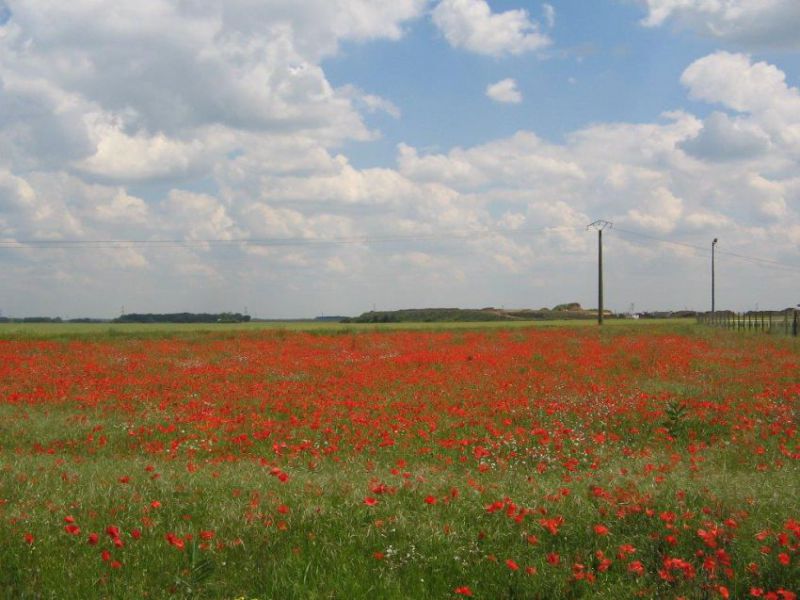 ieovjt9imvlrzi _1_.jpg