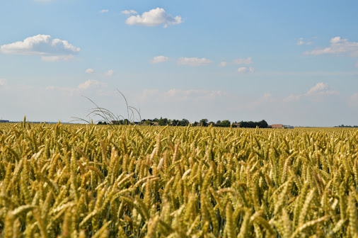 73dk5h9lpiz9waa _2_.jpg