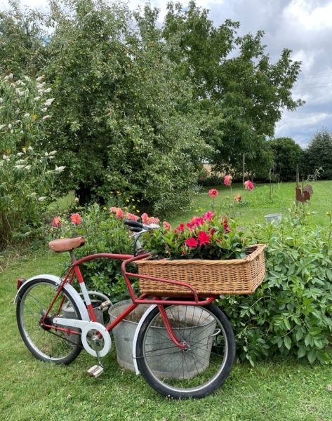 velo-juillet-2025.png