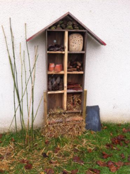 s2imawln1bn5vio _1_.png