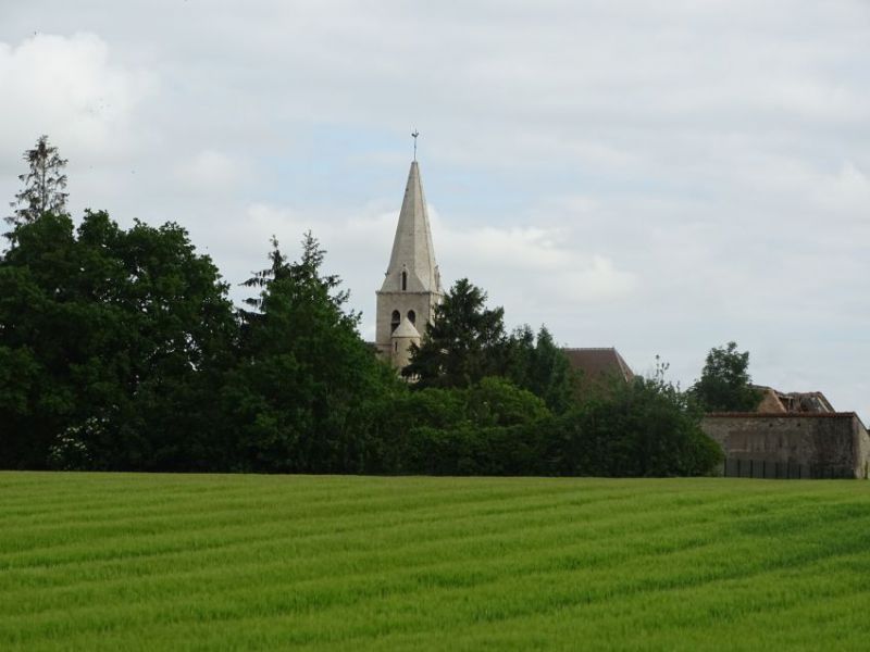 Vue église_champs.JPG