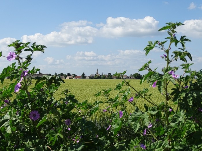 xlxt670rhz9b4u _1_.jpg