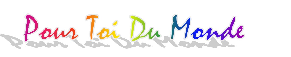 logo ptdm.jpg