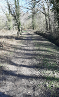 chemin salle po.png