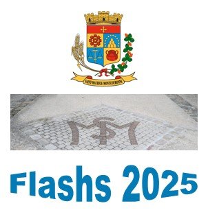 vignette Flashs 2025.jpg