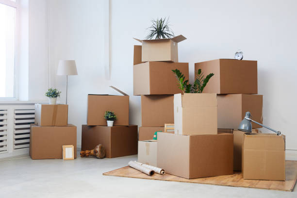 istockphoto-1217193488-612x612.jpg