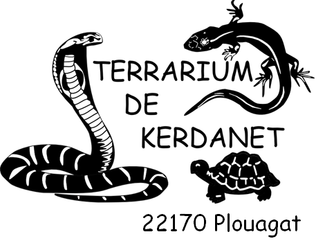 terrarium de Kerdanet.png