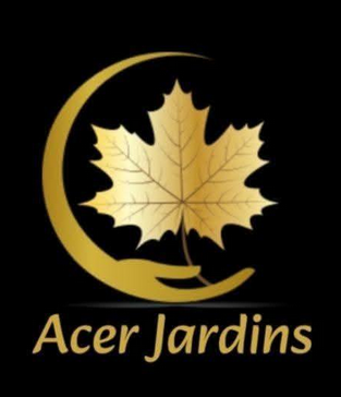 Acer jardin.png