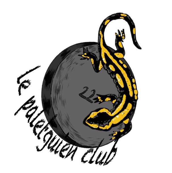 Logo Paletguien club.png