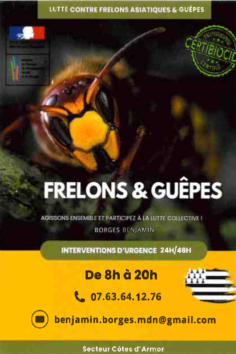 Benjamin BORGUES.png