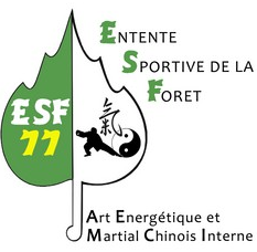 logo ESF.png