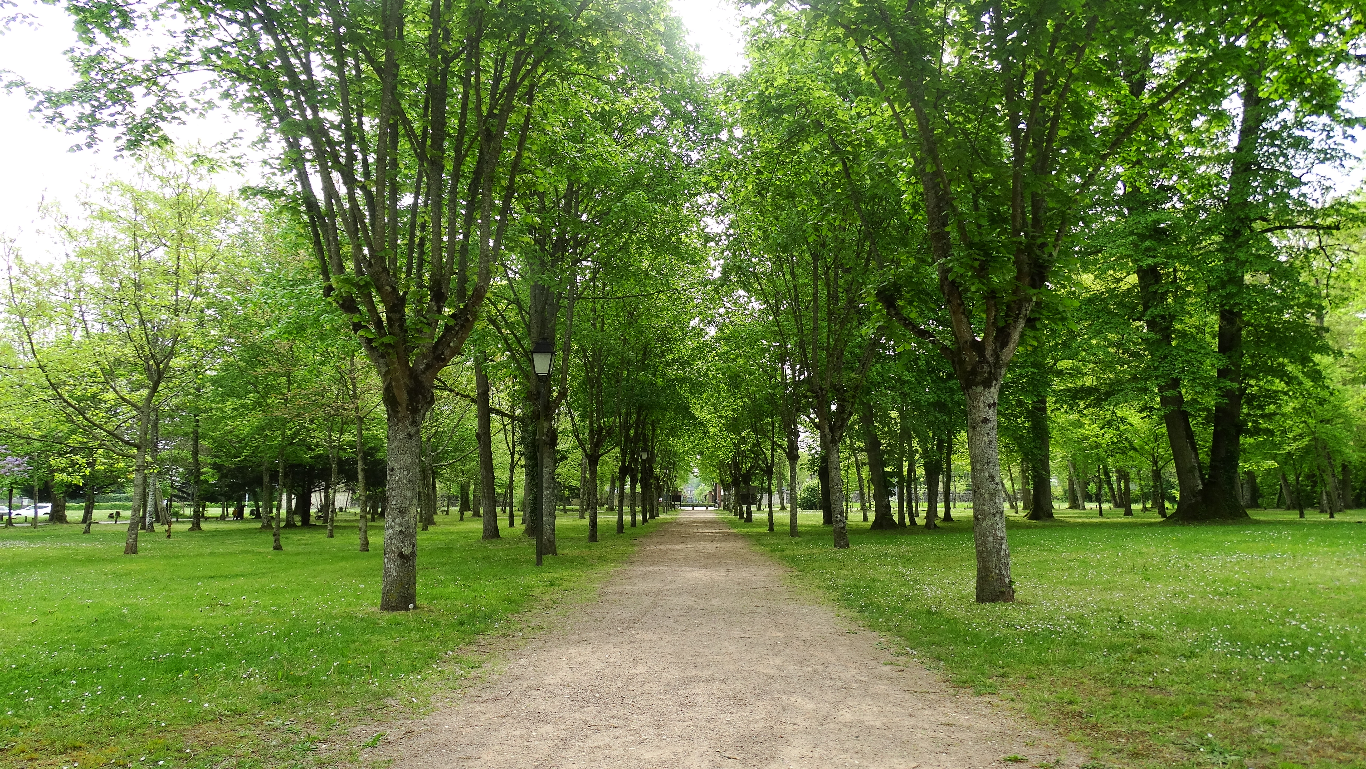chemin.JPG