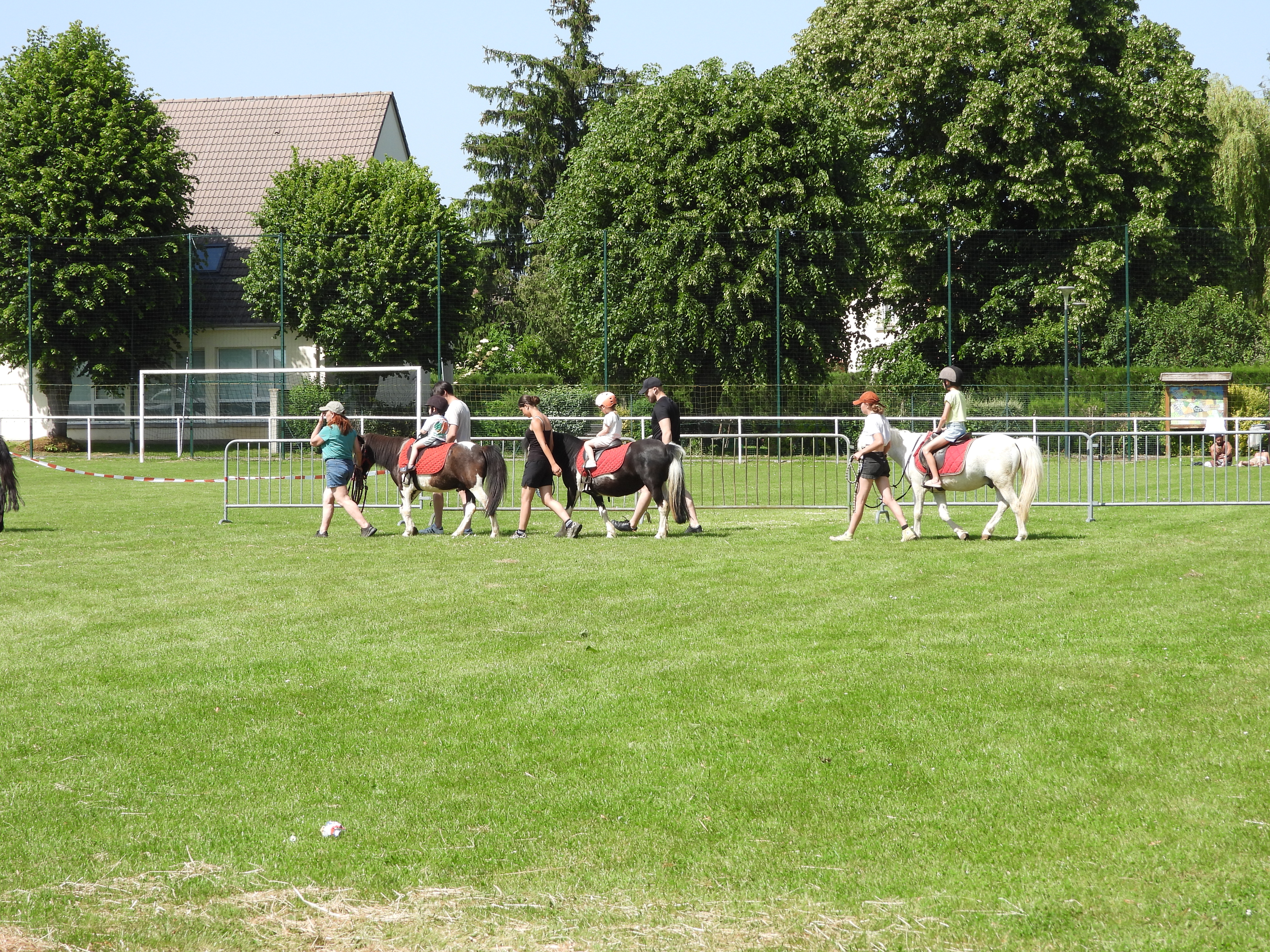 DSCN0201.JPG