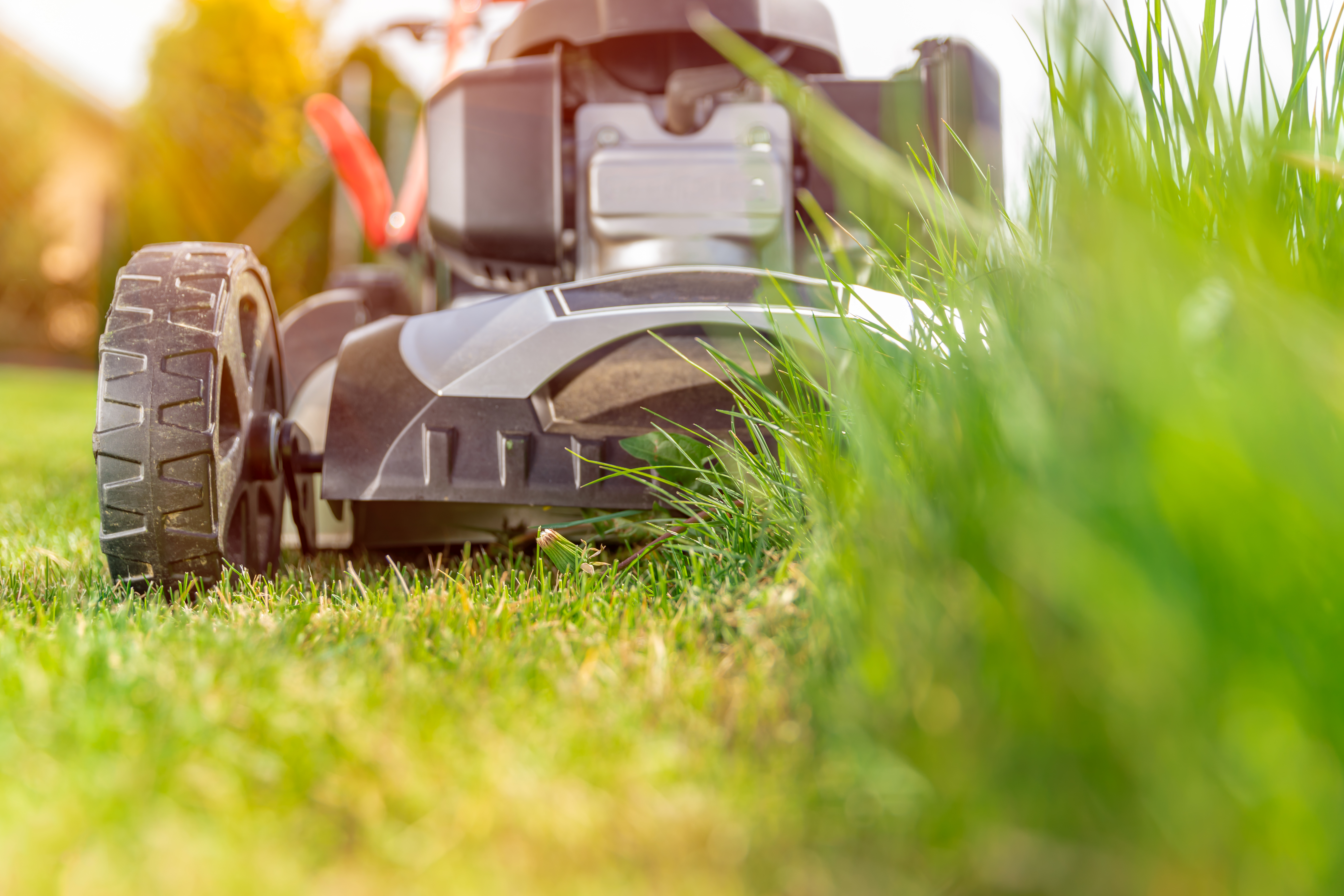 vecteezy_lawn-mower-in-action_1223655.jpg