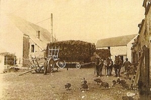 Crisenoy agriculture.jpg