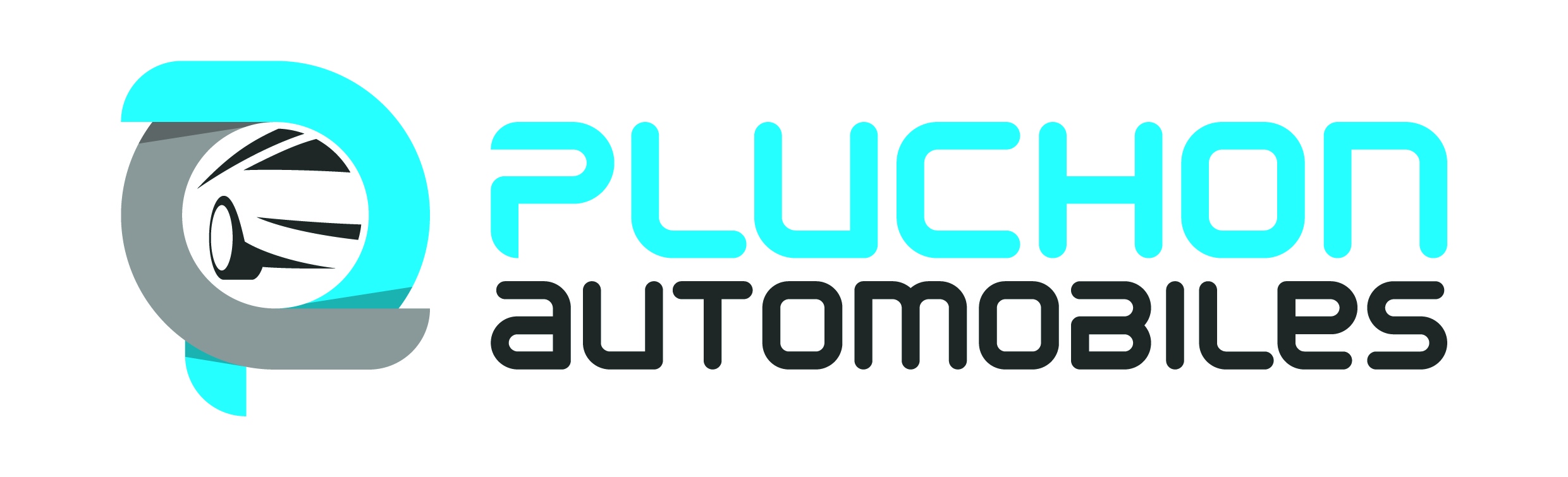 Logo Pluchon Automobiles.jpg