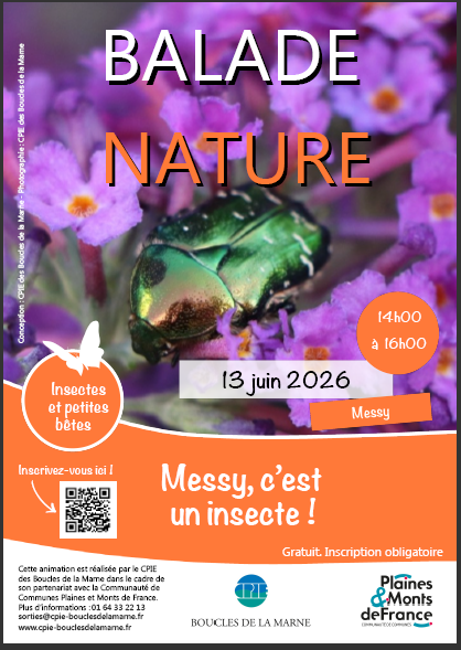 Ballade nature 3.PNG