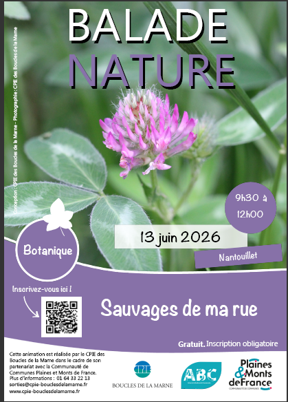 Ballade nature 2.PNG