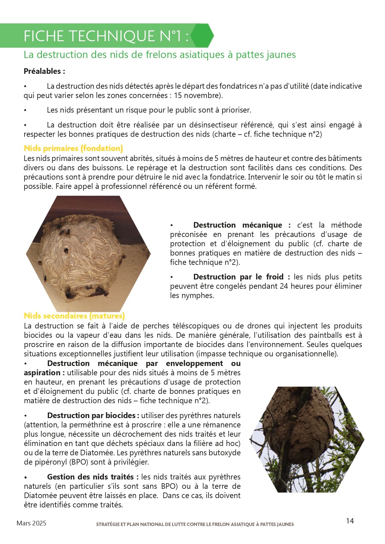 Strategie-et-plan-national-de-lutte-contre-le-frelon-asiatique-a-pattes-jaunes-2025_page-0014.jpg